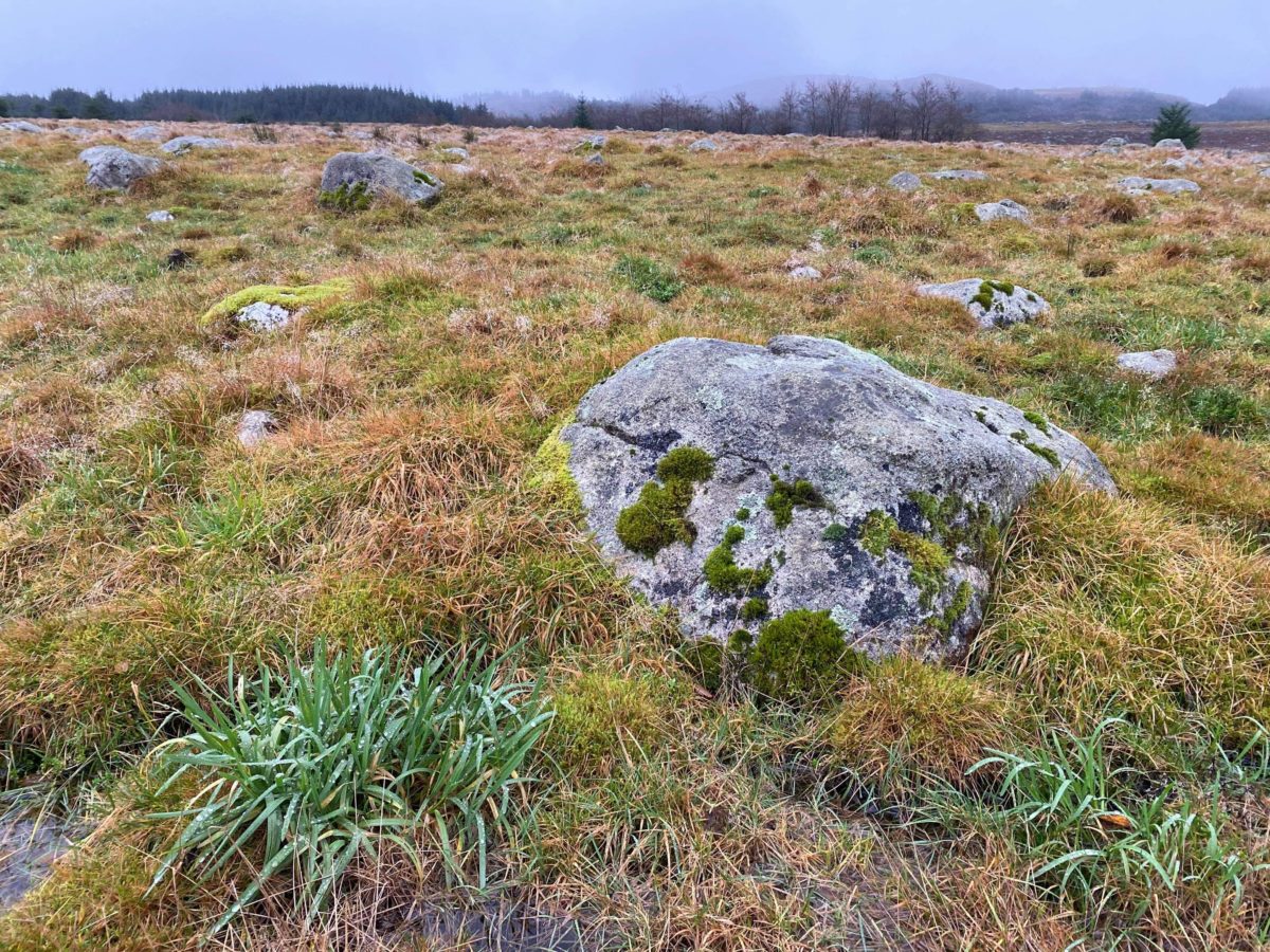 Med kraft for å bevare