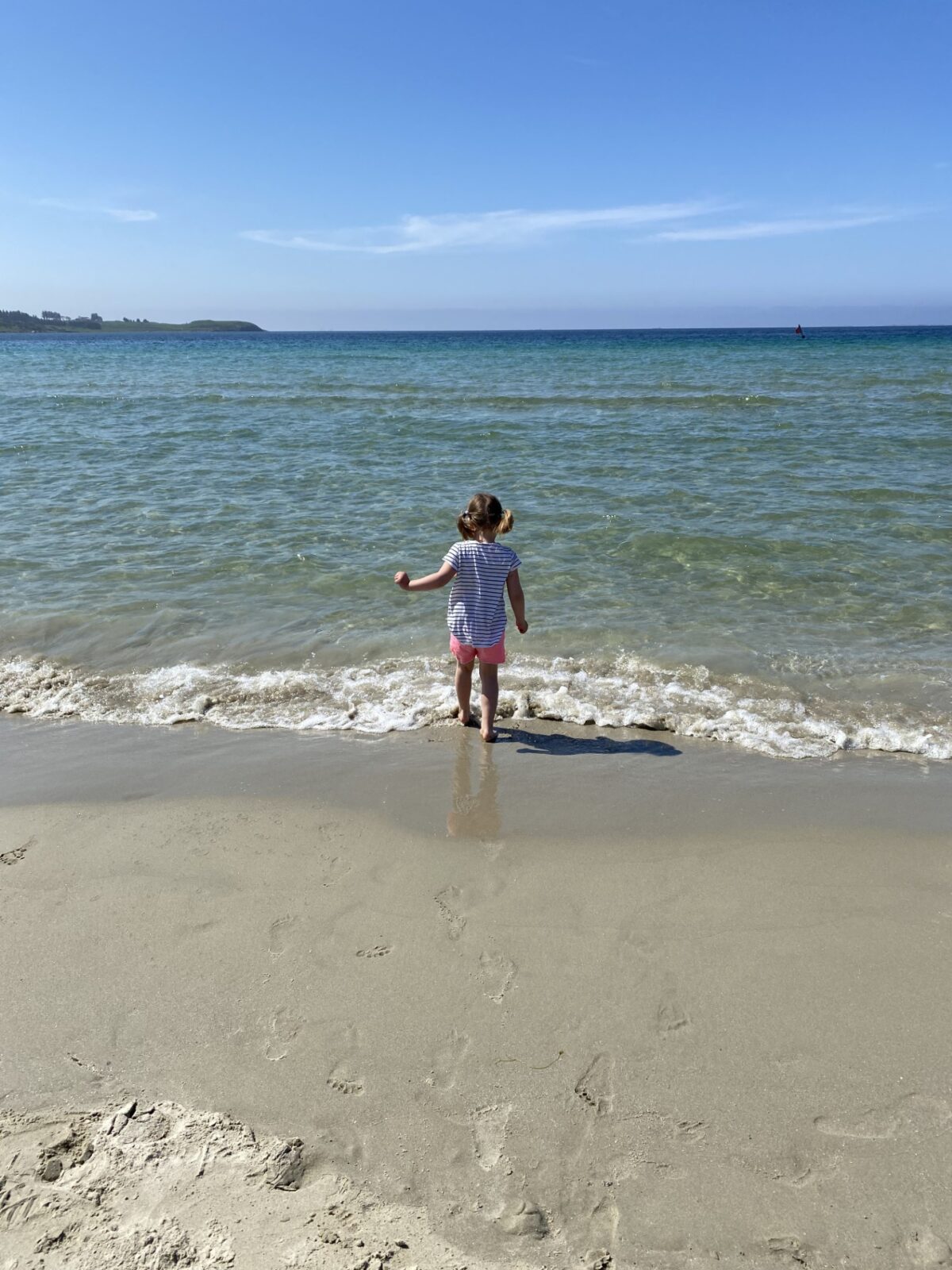 Diktbøkene på loftet 